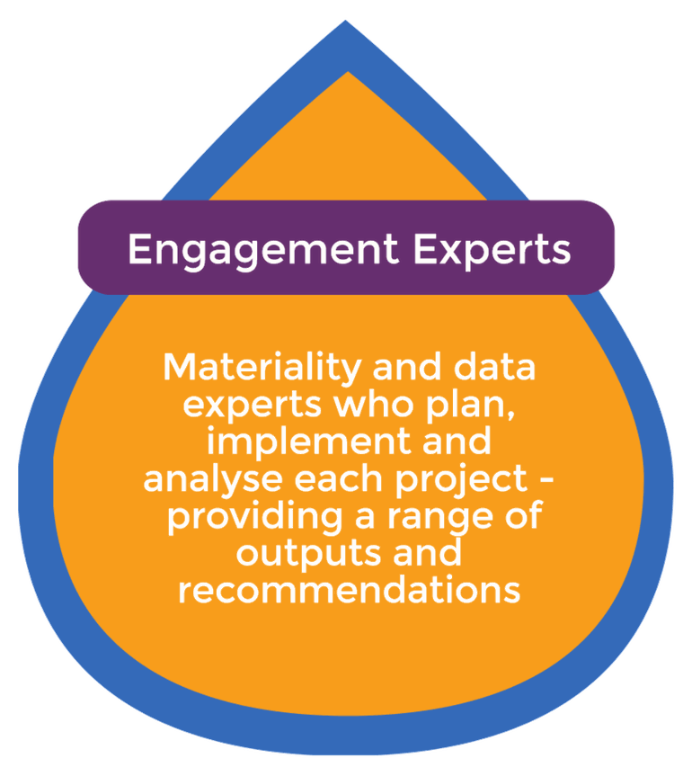Engagement Experts - Materiality and data experts who plan, implement and analyse each project - providing a range of outputs and recommendations